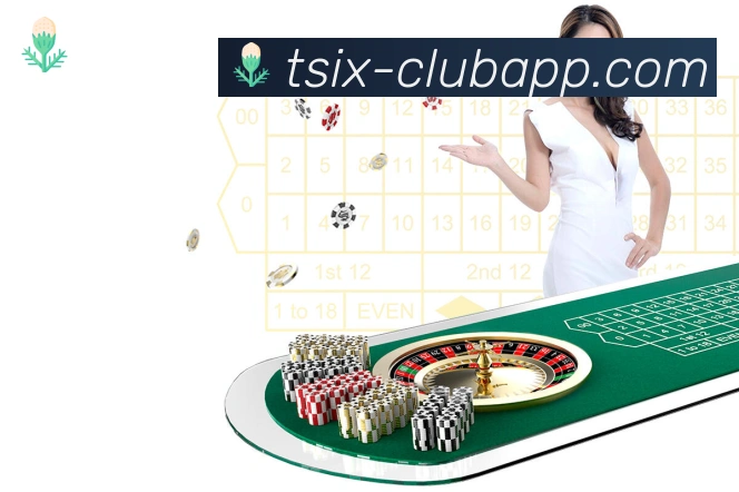 6t体育荣誉